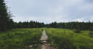 West Virginia Highlands Conservancy Dolly Sods project has hit a minor roadblock